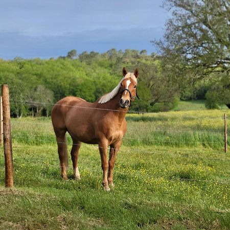 Maison Chaleureuse A La Campagne Payrignac エクステリア 写真