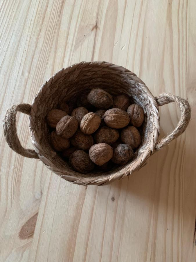 Maison Chaleureuse A La Campagne Payrignac エクステリア 写真